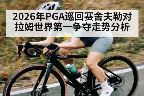 2026年PGA巡回赛舍夫勒对拉姆世界第一争夺走势分析（kaiyun）