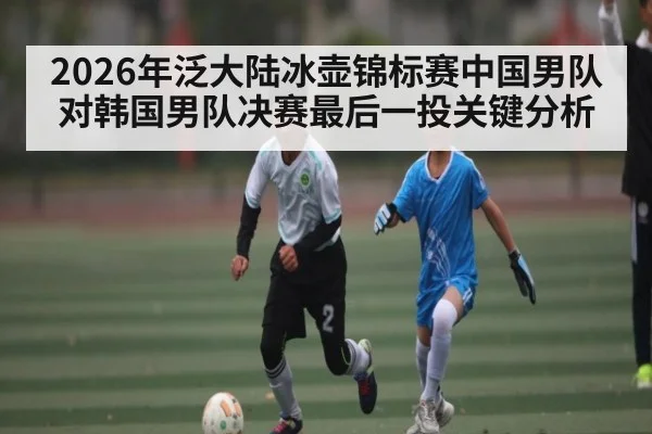 2026年泛大陆冰壶锦标赛中国男队对韩国男队决赛最后一投关键分析